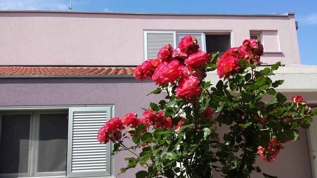 Apartment Ika Zadar Oda fotoğraf